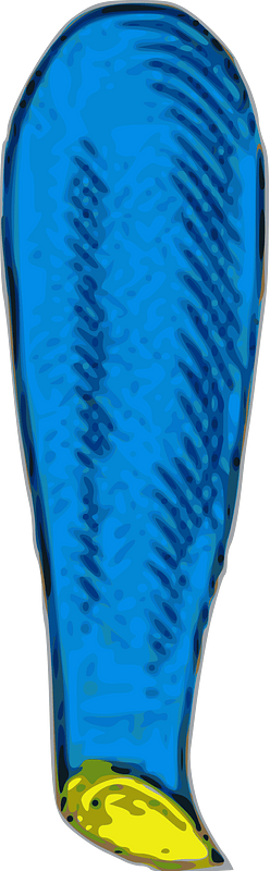Seme bastoni carte romagnole