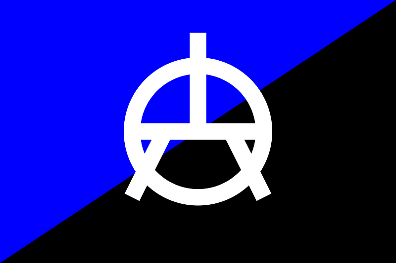 Anarcho-Transhumanist flag with logo