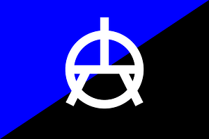Anarcho-Transhumanist flag with logo