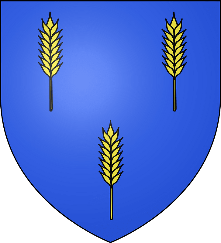 Blason Echevin Lyon Athiaud de Montchanin