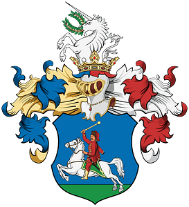 Coa Hungary Family Pajor (Tóth-lipcsei) 1660