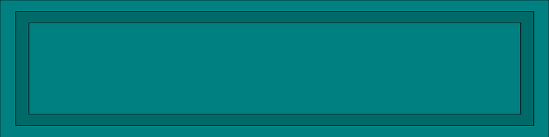 US Army 19th SFG Recognition Bar
