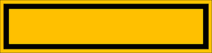 US Army 1st SFG Recognition Bar