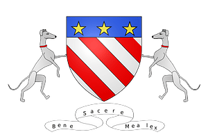 Blason famille Selle de la Castille
