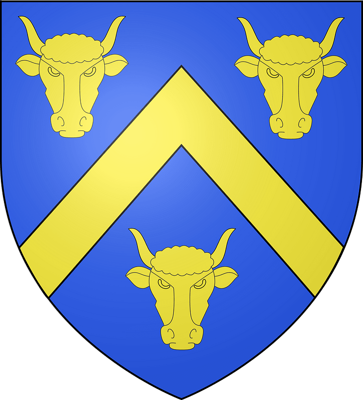 Blason de la famille Roy de lachaize