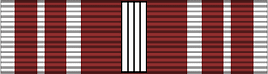 POL Srebrny Medal Zasłużony dla Obrony Terytorialnej (PLOT) BAR