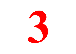 Junk Flag Class III