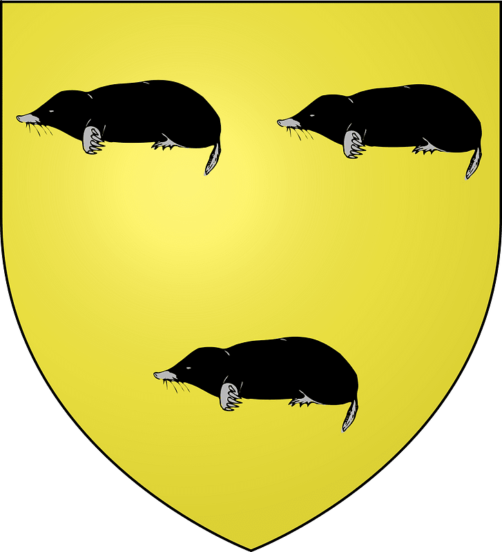 Blason famille de Terris