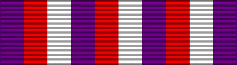 POL Medal Sport w Służbie Ojczyzny BAR