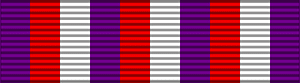 POL Medal Sport w Służbie Ojczyzny BAR