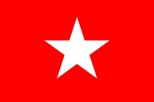 DP-flag