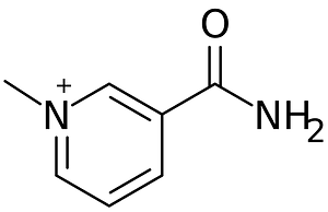 1-Methylnicotinamide