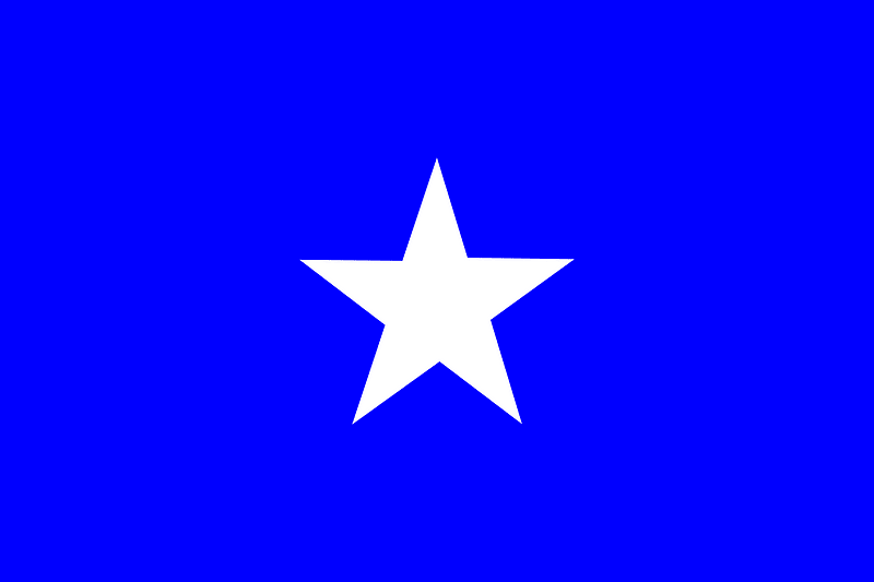 Swatantra-Party-flag