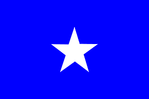 Swatantra-Party-flag