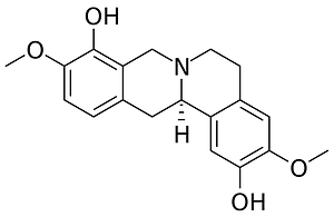 (R)-Scoulerine