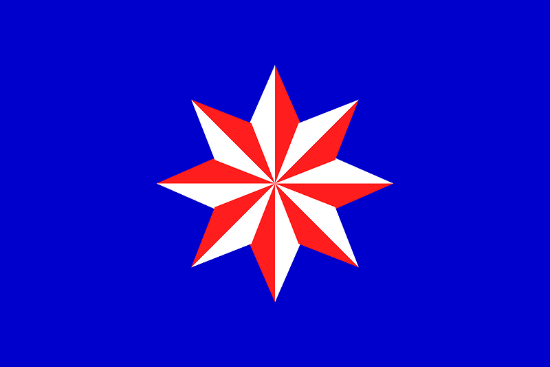 Arsène Heitz Flag Proposal (25 December 1954)
