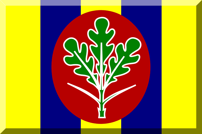 Giallo e Blu (Strisce) con tondo Rosso e ramo di quercia Verde