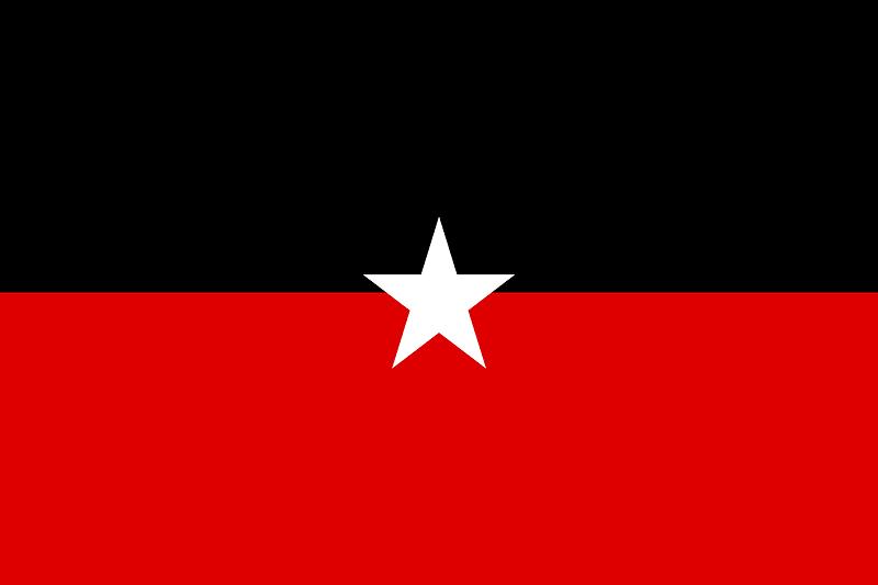 Shan State Army flag