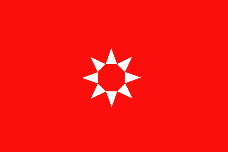 Flag of Rivas Vaciamadrid
