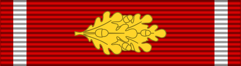 FIN Order of the Cross of Liberty 2Class war oak BAR