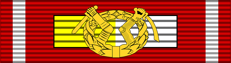 FIN Order of the Cross of Liberty 1Class Star war BAR