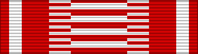 FIN Red Cross Merit BAR