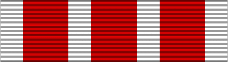 FIN Disabled War Veterans Cross BAR
