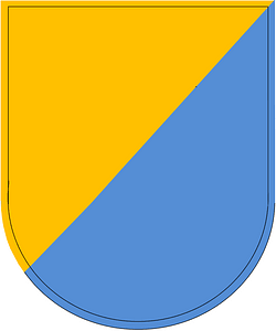 US Army 8th SFG beret flash