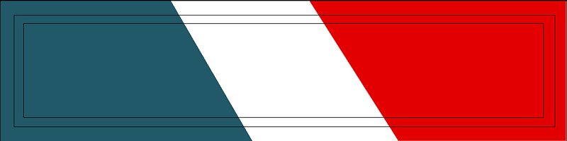 US Army 11th SFG Recognition Bar