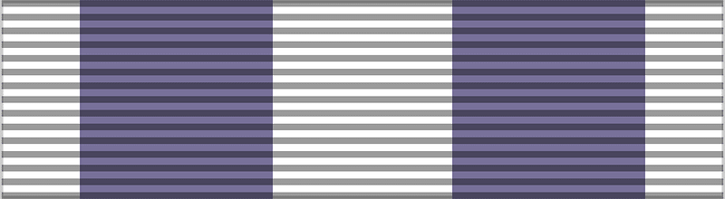 POL Odznaka HDK - ZdZN ribbon bar