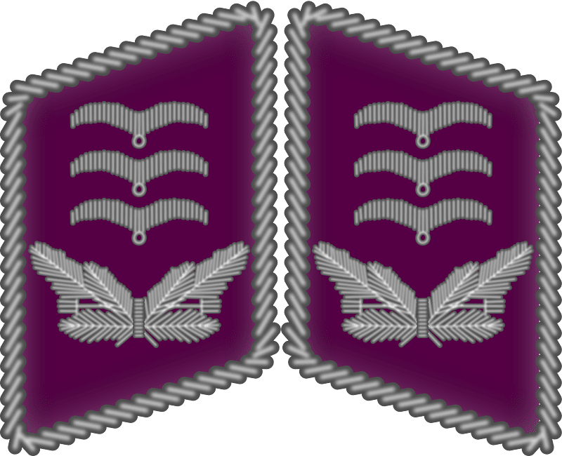 Luftwaffe collar tabs Hauptmann 3D