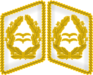 Wehrmacht Lw -Generalleutnant 1945collar