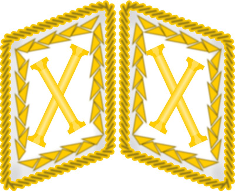 Luftwaffe collar tabs Reichsmarschall 3D