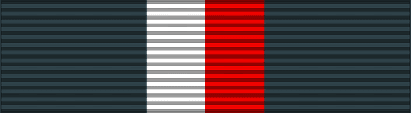 POL Medal Reipublicae Memoriae Meritum BAR