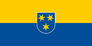 Flag of Celje
