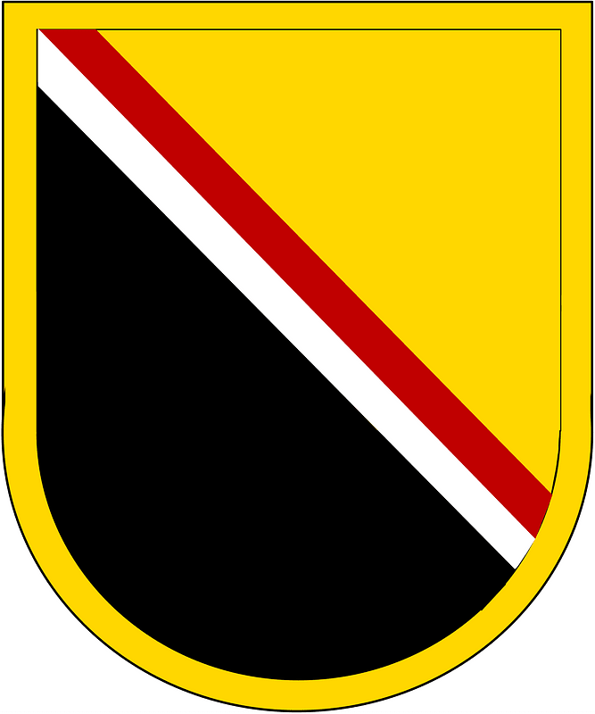 Maryland Defense Force Beret Flash