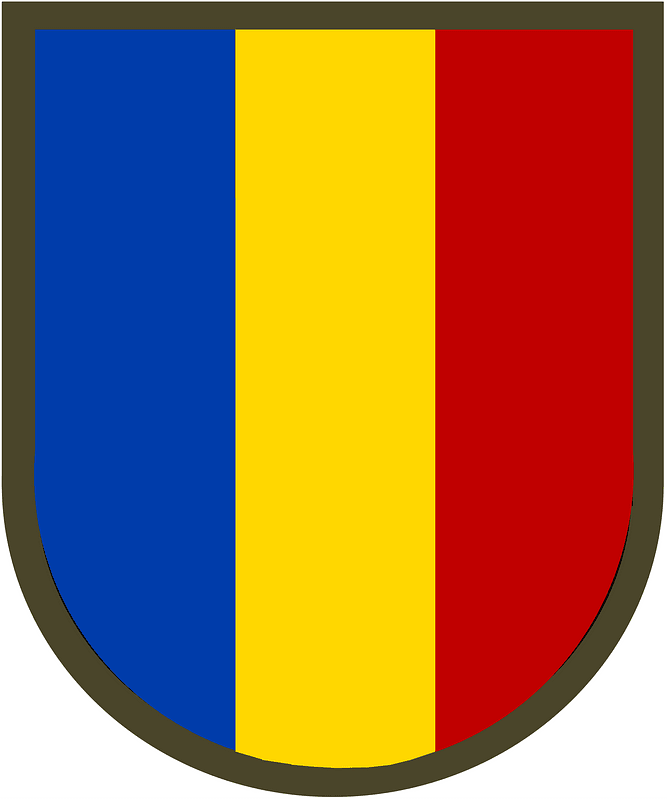US Army Airborne-Airlift Action Office Beret Flash
