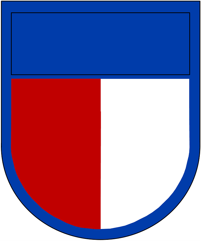 US Texas State Guard Beret Flash