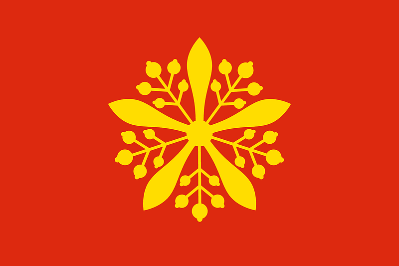 Flag of Manchuria