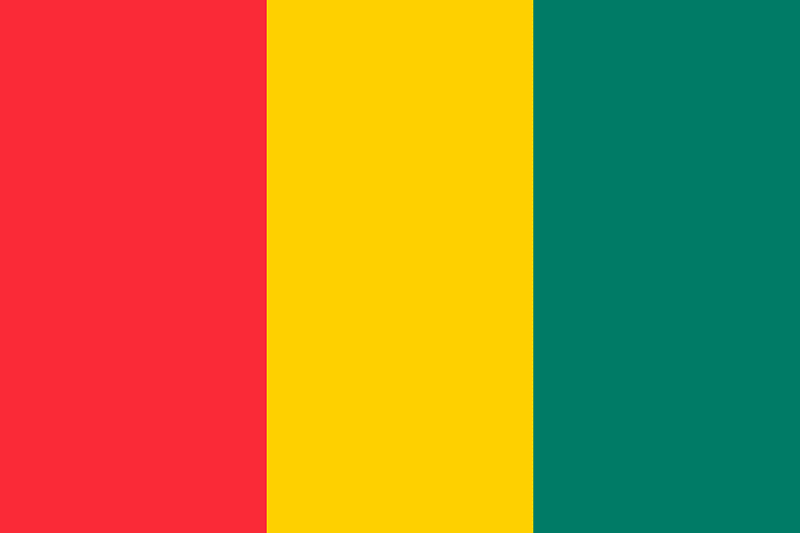 Flag of Guinea (2008 Summer Olympics)