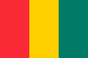 Flag of Guinea (2008 Summer Olympics)