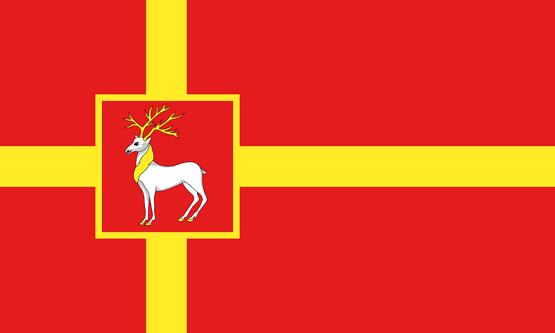 Flag of Zalesye
