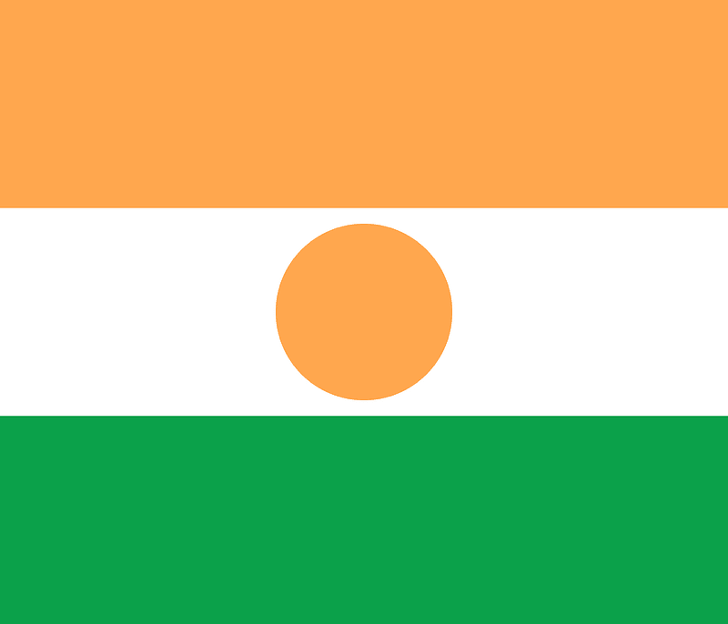 Flag of Niger (2008 Summer Olympics)