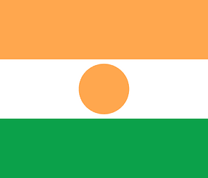 Flag of Niger (2008 Summer Olympics)