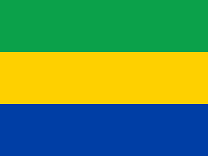 Flag of Gabon (2008 Summer Olympics)