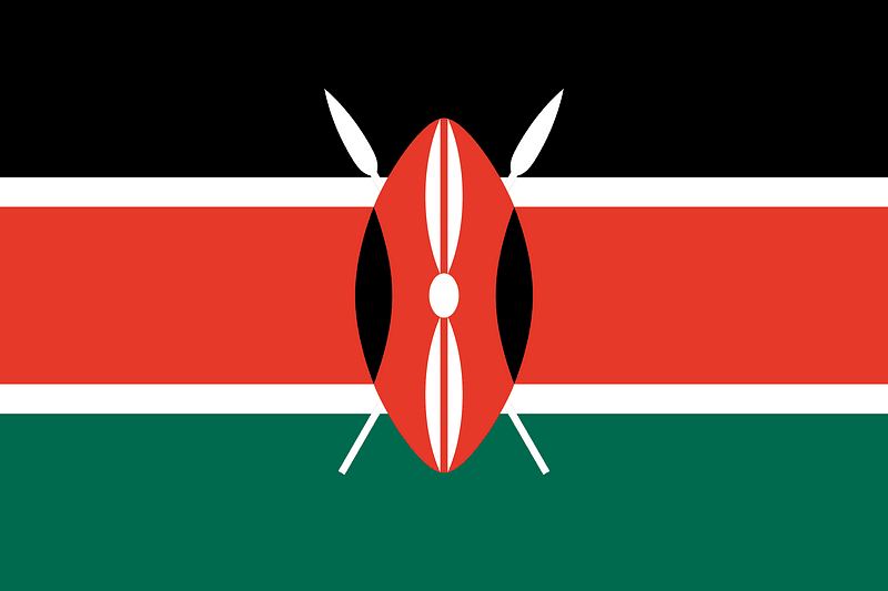 Flag of Kenya (2008 Summer Olympics)