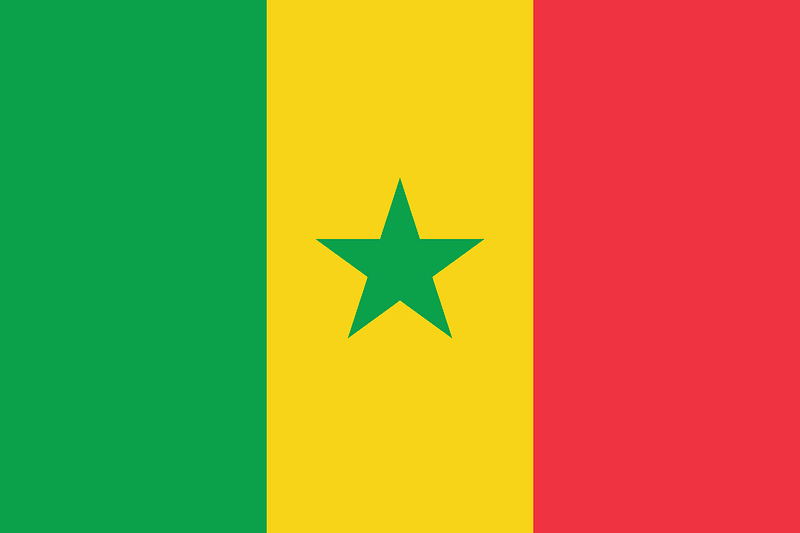 Flag of Senegal (2008 Summer Olympics)