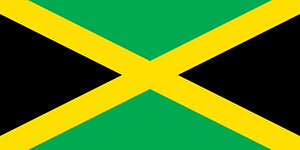 Flag of Jamaica (2010 Winter Olympics)