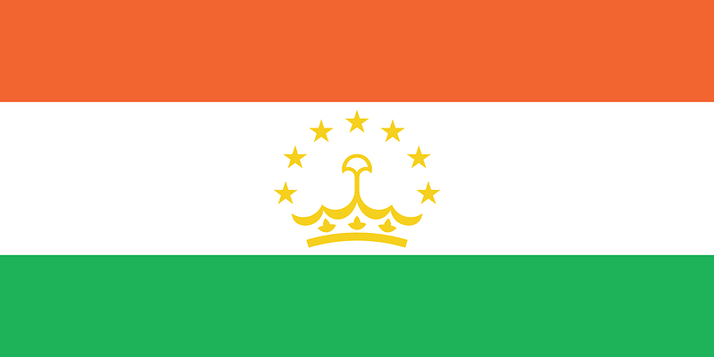 Flag of Tajikistan (2010 Winter Olympics)