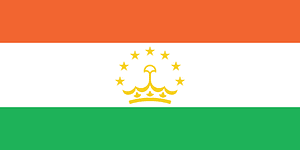 Flag of Tajikistan (2010 Winter Olympics)